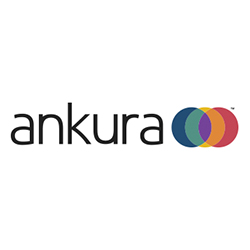 Ankura Consulting Group