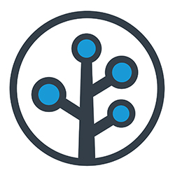 Branch Metrics