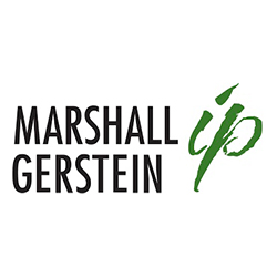 Marshall, Gerstein & Borun LLP