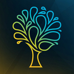 Spring Venture Group